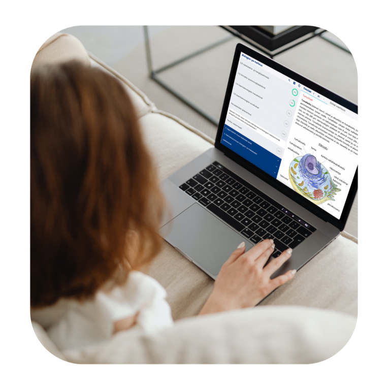 Biologian sähköinen yo-kertausmateriaali, Mafynetti